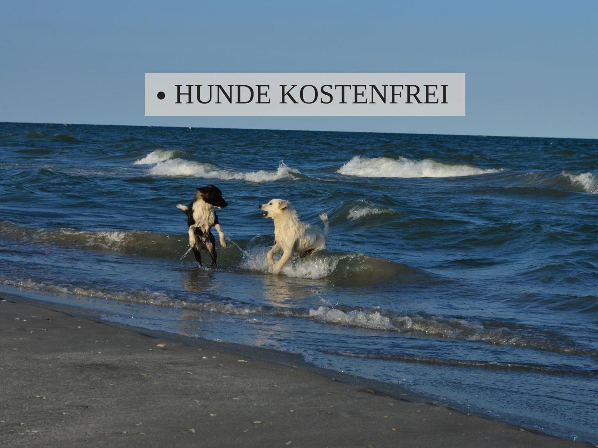 וורמן Haus Krabbe Apartments, Zentral Gelegen Im Idyllischen Nordseeort Zwischen Bremerhaven Und Cuxhaven, Hunde Kostenfrei Willkommen, Hauseigene Kostenfreie Parkplaetze מראה חיצוני תמונה